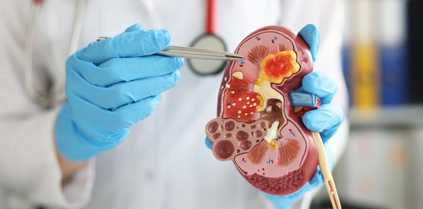 ارولوژی ترمیمی (سطح 1)