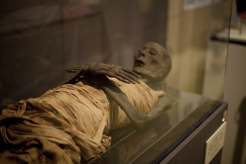 فیکس و نگهداری جسد